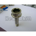 high end titanium hex socket flange bolts